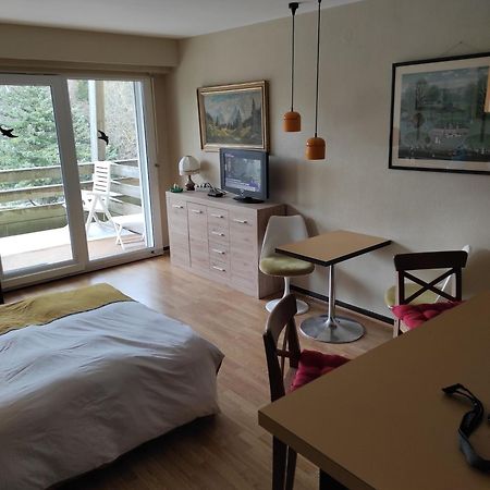 Residence Le Faucon - Col Du Donon Grandfontaine  Екстер'єр фото