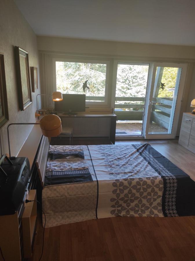 Residence Le Faucon - Col Du Donon Grandfontaine  Екстер'єр фото